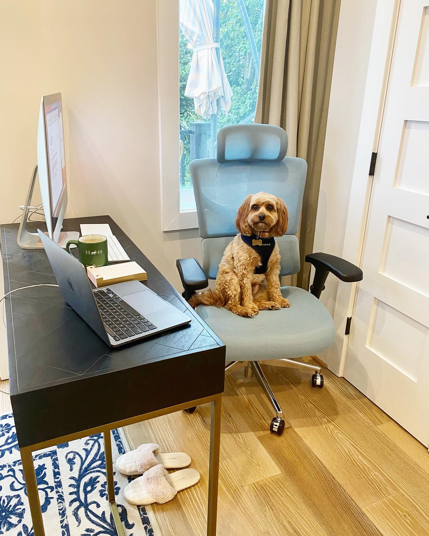 How to maintain your ergonomic office chair?
