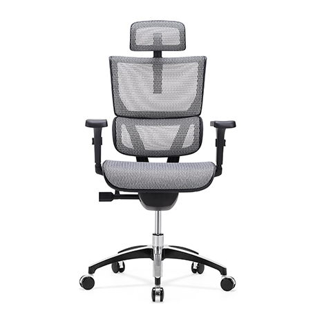 Vision ergonomic chairs VIM01