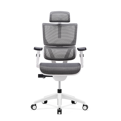 Vision ergonomic chairs VIM01-W