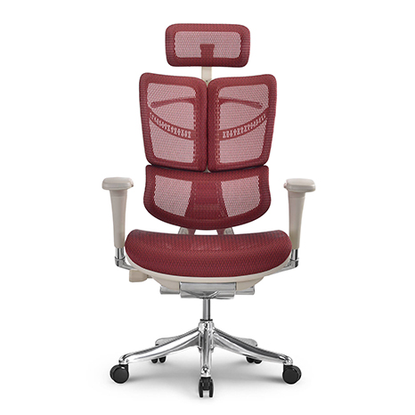 Fly ergonomic chairs HFYM01-G