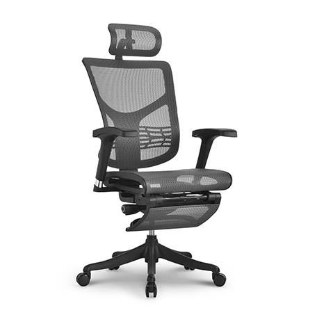 Ergolux ez8 sales
