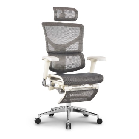 Sail ergonomic chairs RSAM01-G