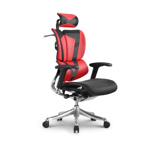 Fly ergonomic chairs DFYM01