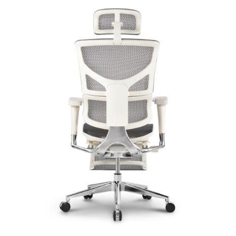 Sail ergonomic chairs RSAM01-G