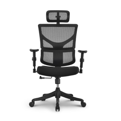 Sail ergonomic chairs SAE-MF01